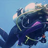 Picture taken during the dive
