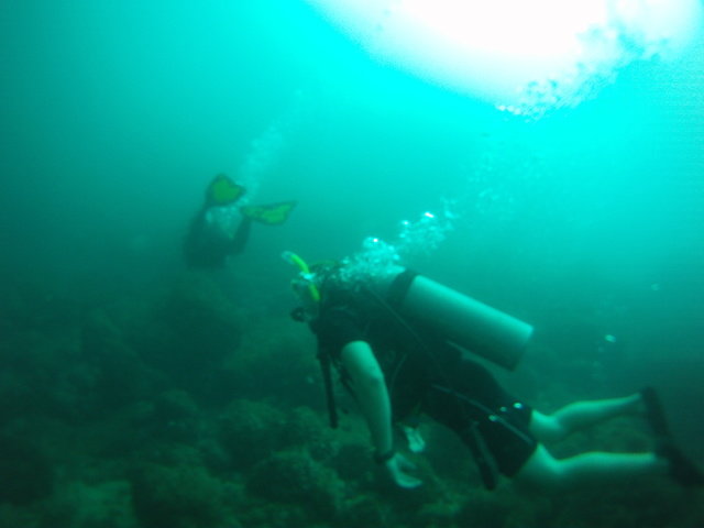 Diving Safaris Costa Rica - Dive Center in Costa Rica