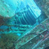 Picture taken during the dive