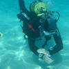 Picture taken during the dive