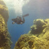 Picture taken during the dive