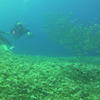 Picture taken during the dive