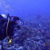 Picture taken during the dive