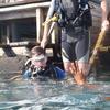 Picture taken during the dive