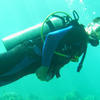 Picture taken during the dive