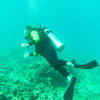Picture taken during the dive
