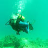 Picture taken during the dive
