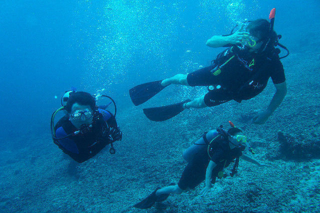 Blue Marlin Senggigi - Dive Center