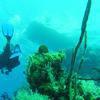 Picture taken during the dive