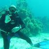 Picture taken during the dive