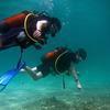 Picture taken during the dive