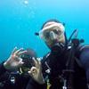 Picture taken during the dive