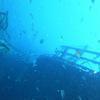 Picture taken during the dive