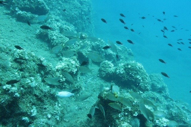 Argentario Diving Planet - Dive Center in Italy