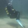 Picture taken during the dive