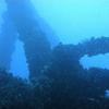 Picture taken during the dive