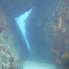 Picture taken during the dive