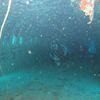 Picture taken during the dive