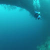 Picture taken during the dive