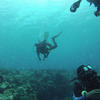 Picture taken during the dive