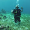 Picture taken during the dive