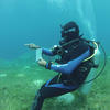 Picture taken during the dive