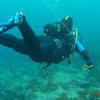 Picture taken during the dive