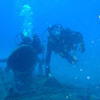 Picture taken during the dive