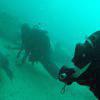 Picture taken during the dive