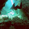 Picture taken during the dive