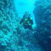 Picture taken during the dive
