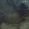 Picture taken during the dive