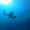Picture taken during the dive