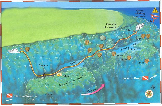 Sinai Dive Club - Dive Center