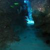Picture taken during the dive