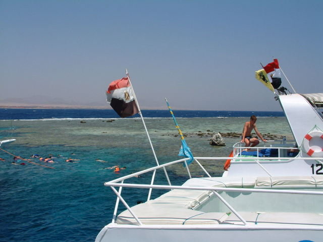 Camel Dive Club - Dive Center in Egypt