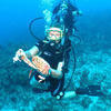 Picture taken during the dive