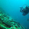 Picture taken during the dive