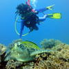 Picture taken during the dive