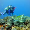 Picture taken during the dive