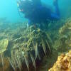 Picture taken during the dive