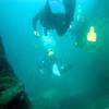 Picture taken during the dive