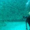 Picture taken during the dive