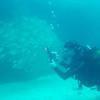 Picture taken during the dive