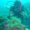 Picture taken during the dive