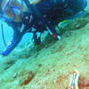 Picture taken during the dive