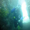 Picture taken during the dive