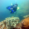 Picture taken during the dive