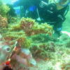 Picture taken during the dive
