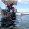 Picture taken during the dive